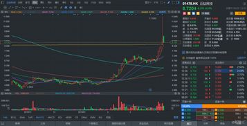 丘钛科技股票分析与投资建议