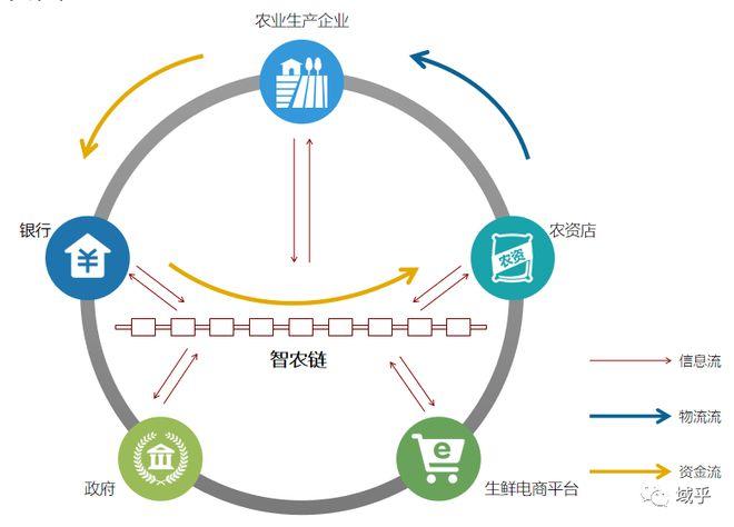 吴雅楠简介