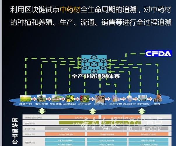 中链区块链BIPT介绍