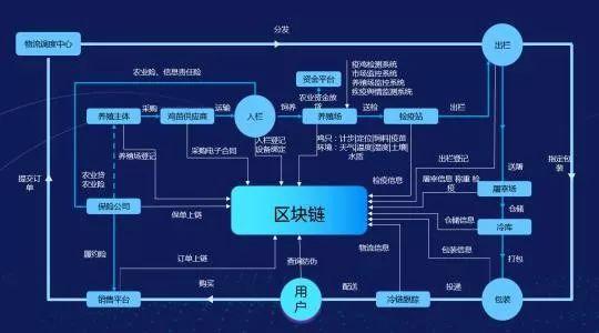 区块链的六大模板有哪些