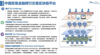 我国区块链应用案例分析