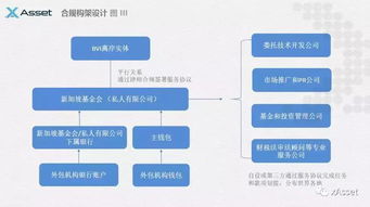 国外区块链项目