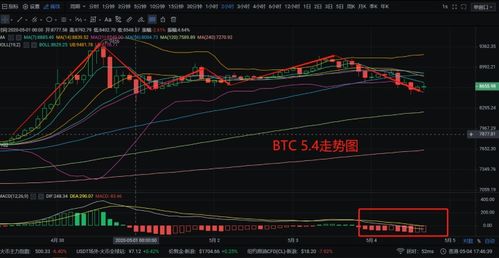 比特币与区块链的关系