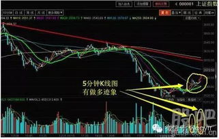 中央汇金入市李大霄解读其稳定市场的积极作用