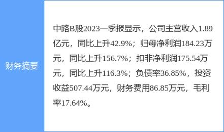 中路B股市场动态分析游资资金净买入现象解读