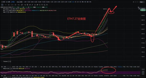 链克币价格今日行情查询