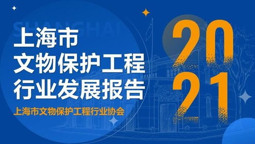 河南一地文物保护员年薪仅2400元，文物保护与传承的挑战与机遇