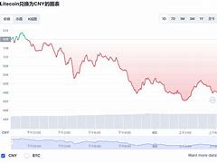 莱特币价格波动分析今日市场动态深度解读