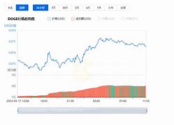 狗狗币实时价格的透明度与投资决策的合理性