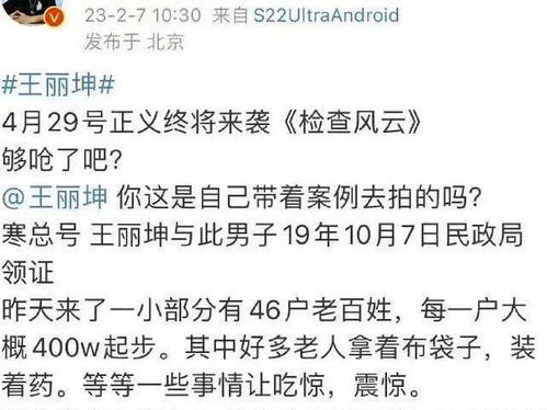 王丽坤老公涉嫌诈骗9亿购房款事件，真相与反思