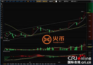 比特币实时行情，深度解析与市场洞察