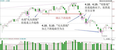 481走势图解析与应用探讨