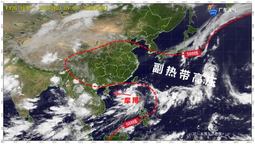 台风摩羯肆虐海南，造成惨重伤亡