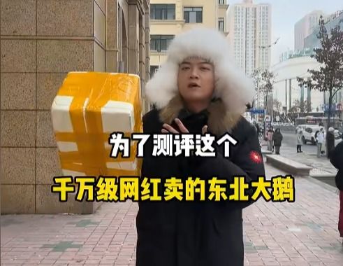 东北雨姐造假风波后直播带货榜第一，逆境中的崛起与挑战