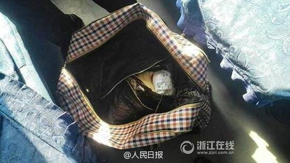 男孩理发被收费惊人之价，警方迅速介入调查立案