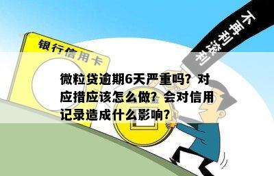 爆仓什么意思，全面解析与防范策略