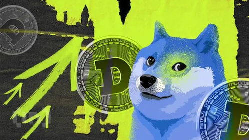 Doge币的狂热与理性，数字货币市场的新篇章