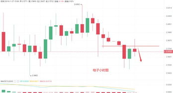 比特现金价格今日行情