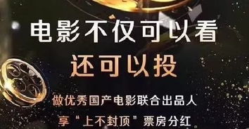 舒畅工作室，以匠心独运的影视创作引领行业新风向