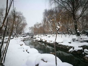 中国最北城市漠河的初雪降临