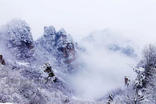 中国最北城市漠河的初雪降临