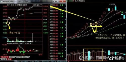 怎样选龙头股，策略与技巧全面解析