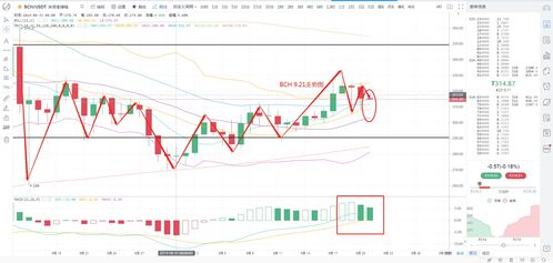 奇亚币（Chia）价格今日行情分析与市场前景展望