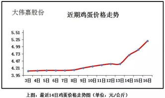 鸡蛋价格一个月飙涨逾六成，市场供需与成本压力下的蛋生蛋