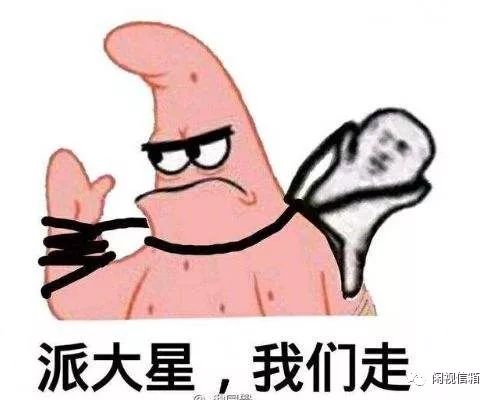 什么是函数