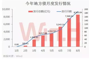 新一轮债务置换，专家预测规模或达十万亿元