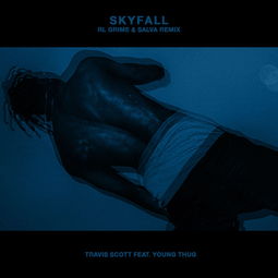 Skyfall，从电影到象征的多维度解读