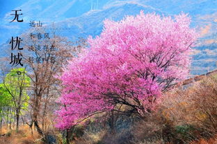 2月17日，春意渐浓，美好如期而至