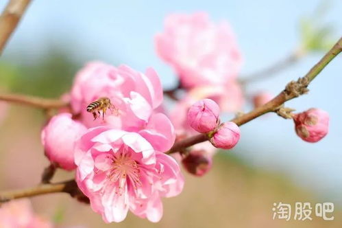 2月17日，春意渐浓，美好如期而至