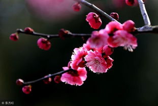 2月17日，春意渐浓，美好如期而至