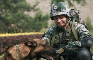 特种兵出差的风还是刮到了雷军