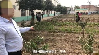 法国市长约见荒地种菜的中国大姐，跨越文化与距离的尊重与启示