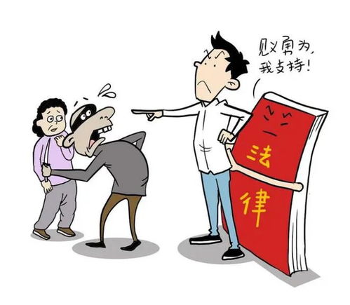 见义勇为后的反思，为何救助行动需要法律的守护？