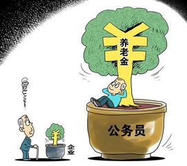 误读基本养老金，未来可持续性与长期保障分析