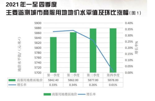 市场热情与未来展望