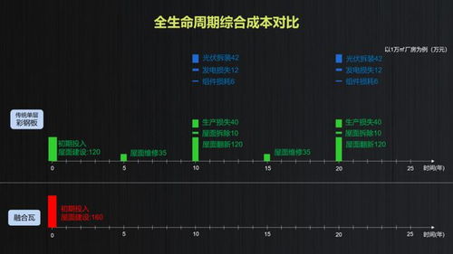 市场热情与未来展望