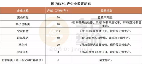 影响因素与市场动态