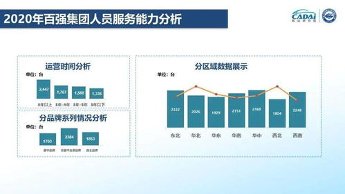 解读项目分析报告，你的成功指南针