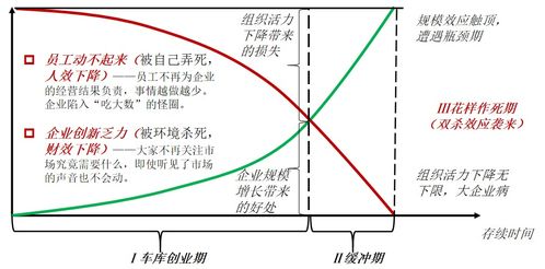 谢娜，忙碌中的坚持与成长