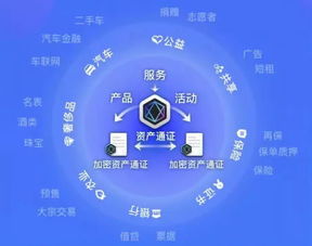 走进卡巴斯基爱好者的世界，守护数字安全的先锋