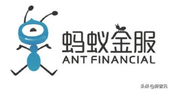 探索蚂蚁金服官网，金融科技的创新与未来